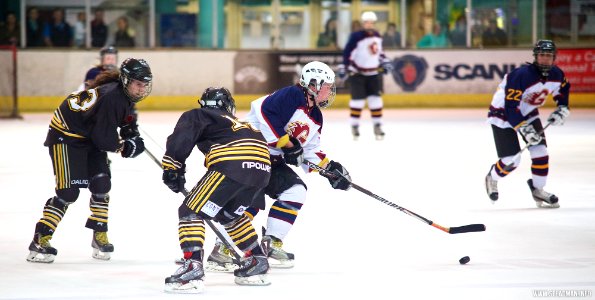 Ice Hockey - Guildford Lightning Vs Bracknell Queen Bees
