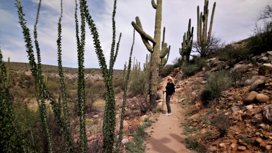 Catalina State Park