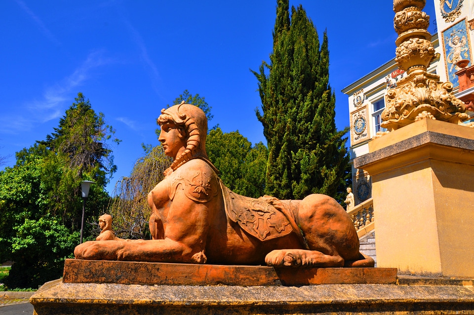 Pecs university hungary