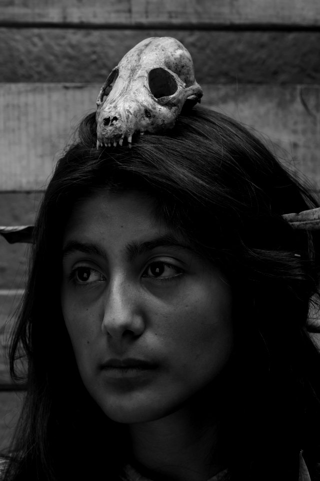  dsc6771f