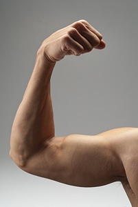 Biceps exercise fitness photo
