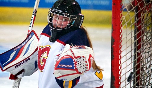 Ice Hockey - Guildford Lightning Vs Bracknell Queen Bees