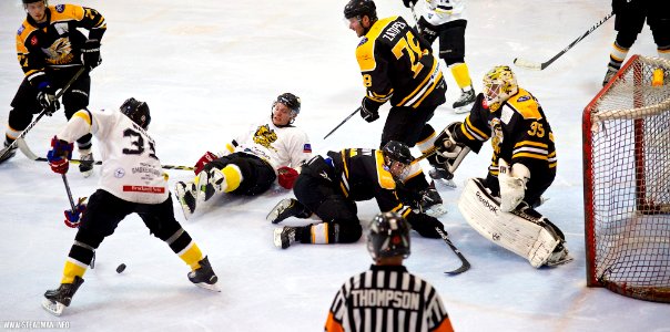 Ice Hockey - Bracknell Bees Vs Chelmsford Chieftains