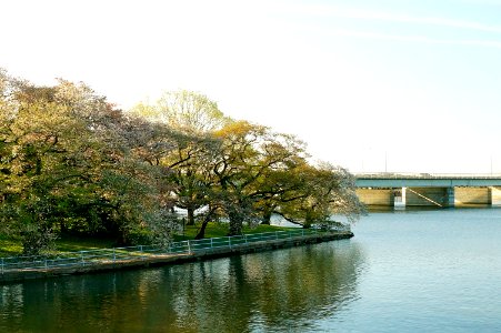 DSC03770
