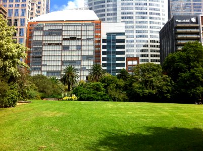 Botanic Gardens Picnic Grass