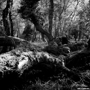 RAF Beaulieu And New Forest