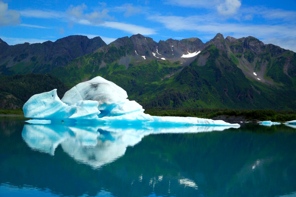 Bear Glacier Berg 6
