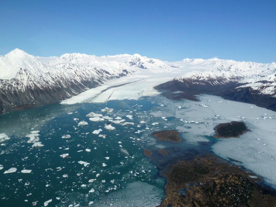 Bear Glacier 3