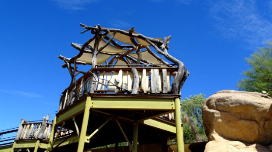 Arizona-Sonora Desert Museum