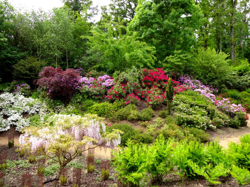 KINGSTON LACY GARDENS