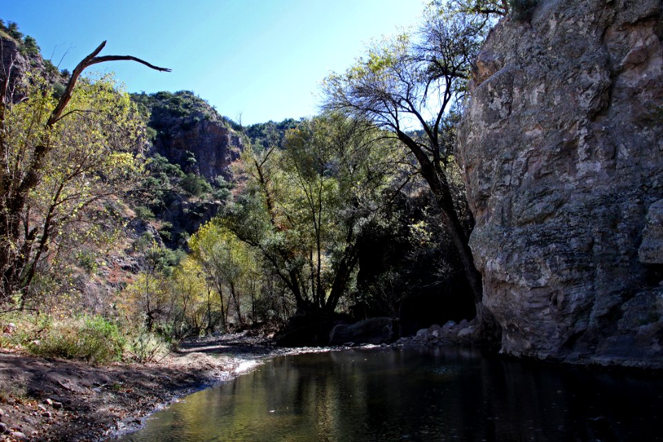 SYCAMORE CANYON, scc, az - 101 (11-8-12) -020