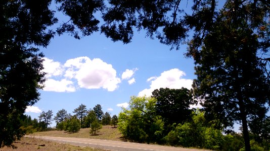 Coronado National Forest