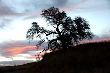 SAN RAFAEL VALLEY GRASSLANDS, SE of Patagonia, scc, az (10-19-12) -02 photo