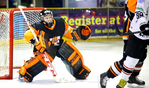 Ice Hockey - Basingstoke Bison Vs Telford Tigers