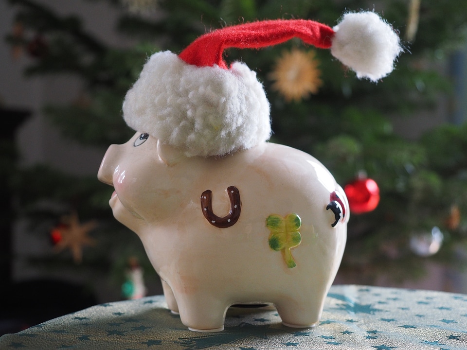 Lucky pig luck funny