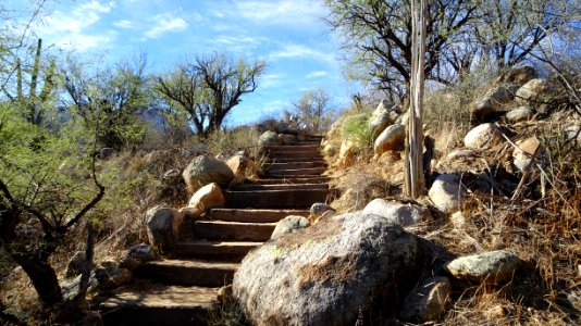 2017.11.11 Catalina State Park photo