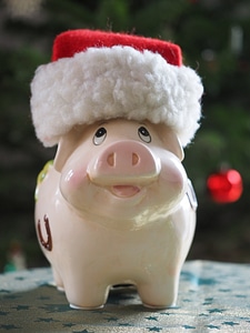 Lucky pig luck funny