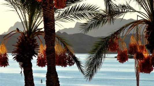 151105 Lake Havasu City