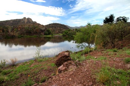 PENA BLANCA LAKE after fire (8-6-11) west of nogales, scc, az -14