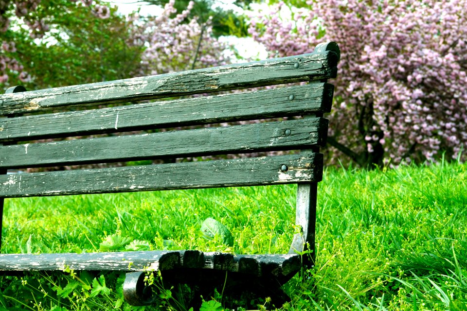 Warm bench @ Hains Point