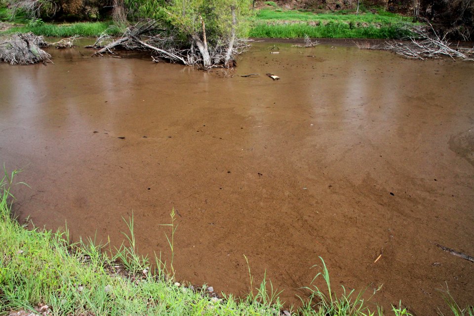 PENA BLANCA LAKE after fire (8-6-11) west of nogales, scc, az -07