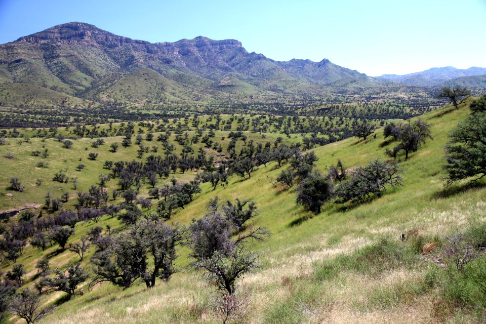 SYCAMORE CANYON, scc, az - 009 (9-16-12) ruby road west of sycamore cyn -04
