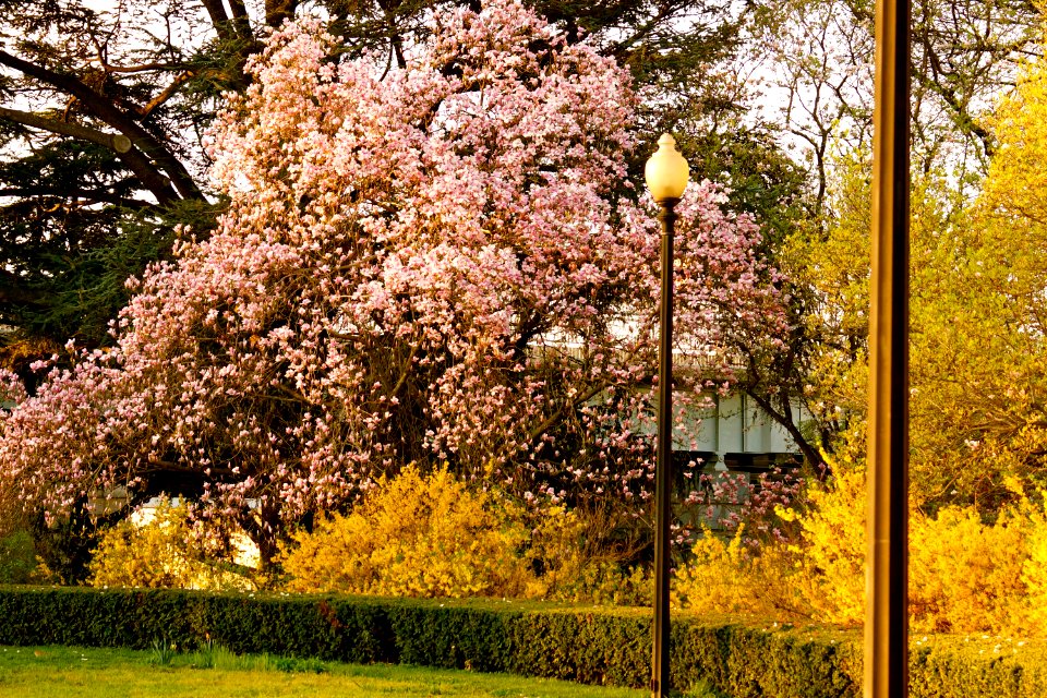 DC in April