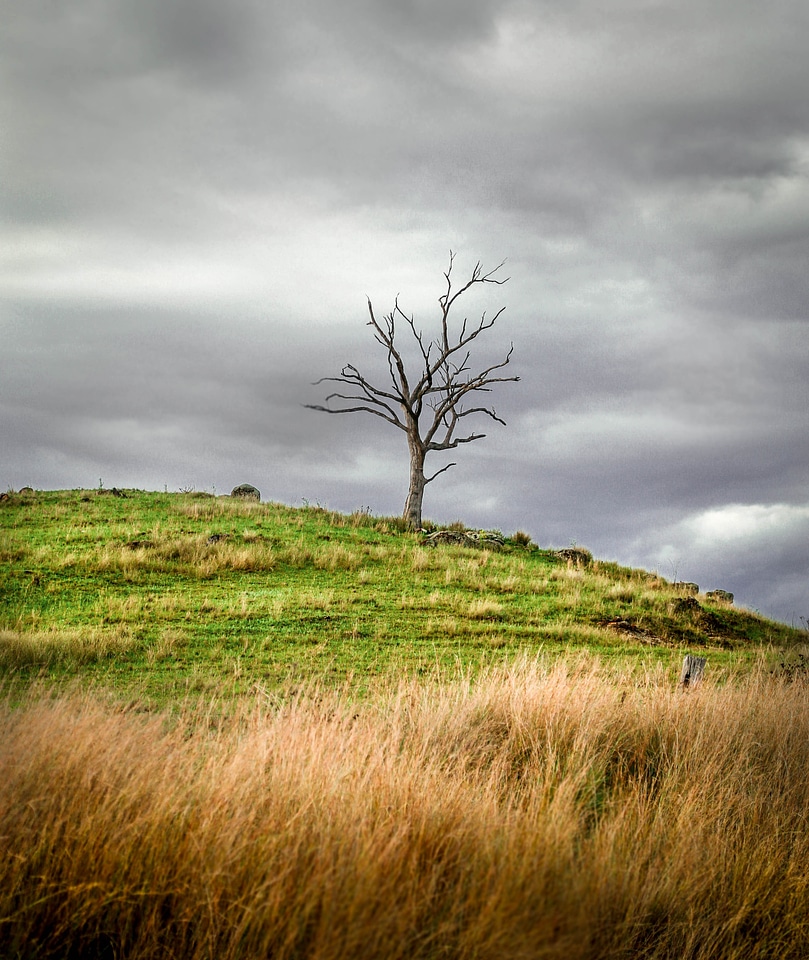 Lonely scenic gray landscape