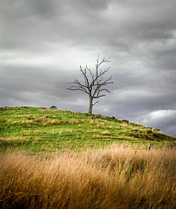 Lonely scenic gray landscape