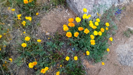 Catalina State Park