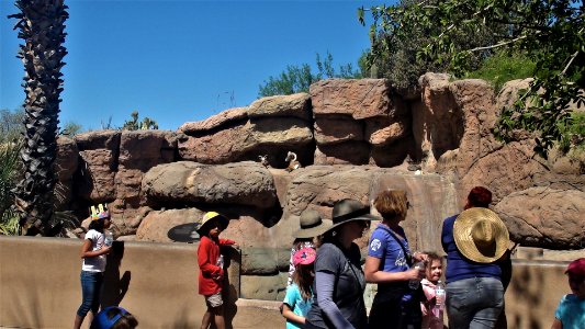 2017.03.26 Desert Museum