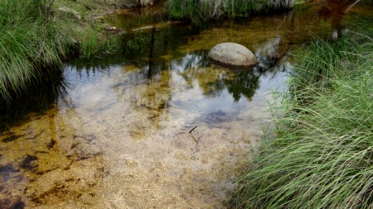 Catalina State Park