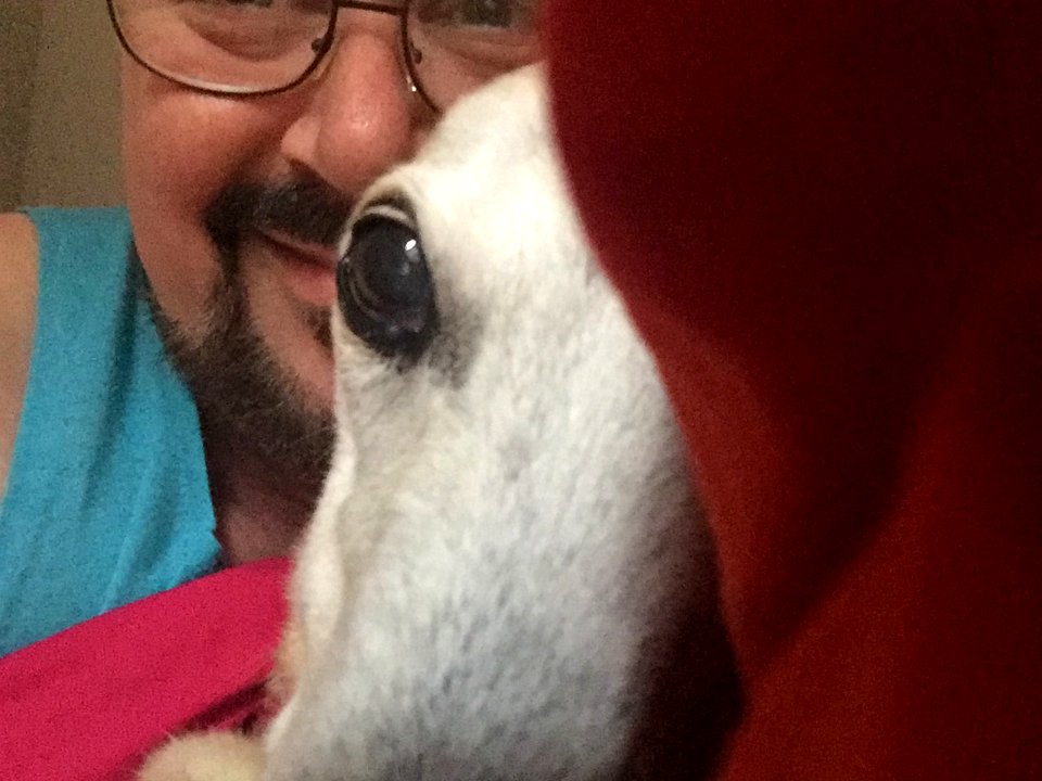 Greyhound, Gucci, Old, Best Friend