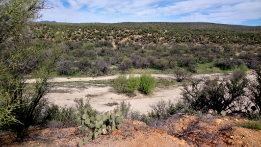 Catalina State Park