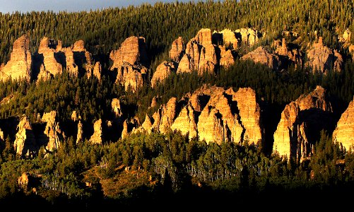 BEAVER CREEK CAMPGROUND, uncompahgre nat for, gunnison co, co (8-22-12) -07b