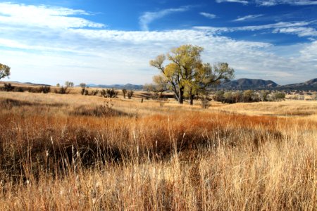 SAN RAFAEL VALLEY GRASSLANDS, SE of Patagonia, scc, az (11-15-12) -16 looking s toward s end of patagonia mts