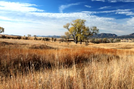 SAN RAFAEL VALLEY GRASSLANDS, SE of Patagonia, scc, az (11-15-12) -16 looking s toward s end of patagonia mts photo