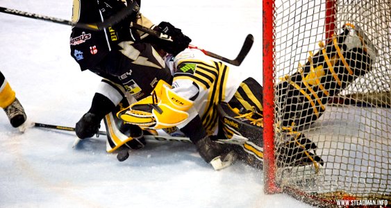 Bracknell Bees Vs Milton Keynes Lightning