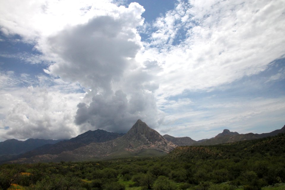CHINO CANYON -005 (8-9-11)