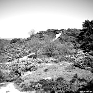 South Farnborough Landscape