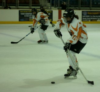 Bracknell Firebees At Basingstoke Bears