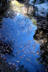 SYCAMORE CANYON, scc, az - 101 (11-8-12) -030