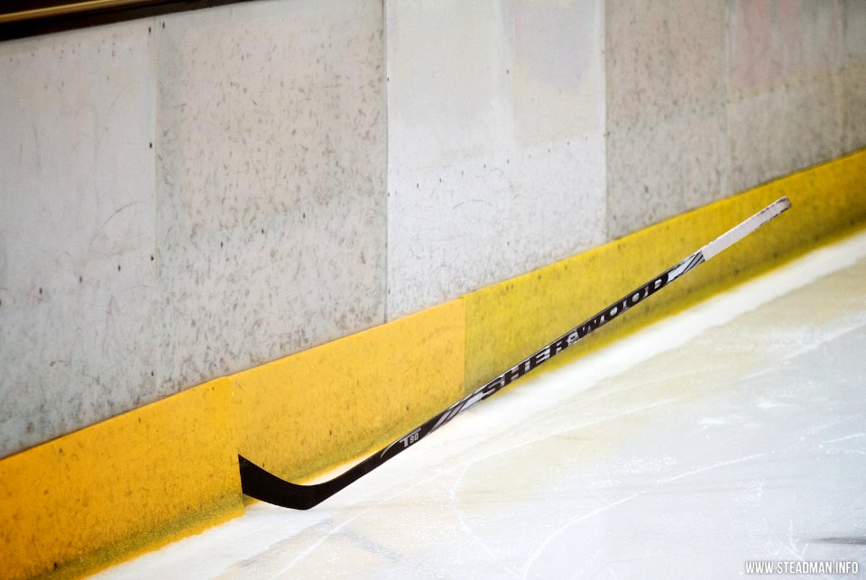 Guildford Flames Vs Basingstoke Bison