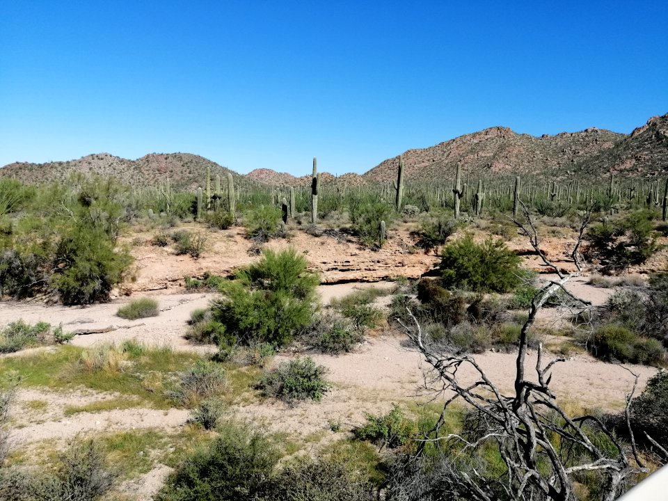 2019.0930 Saguaro National Park West