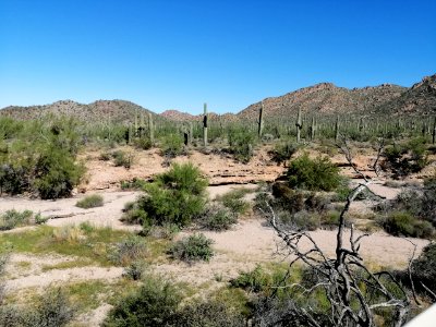 2019.0930 Saguaro National Park West
