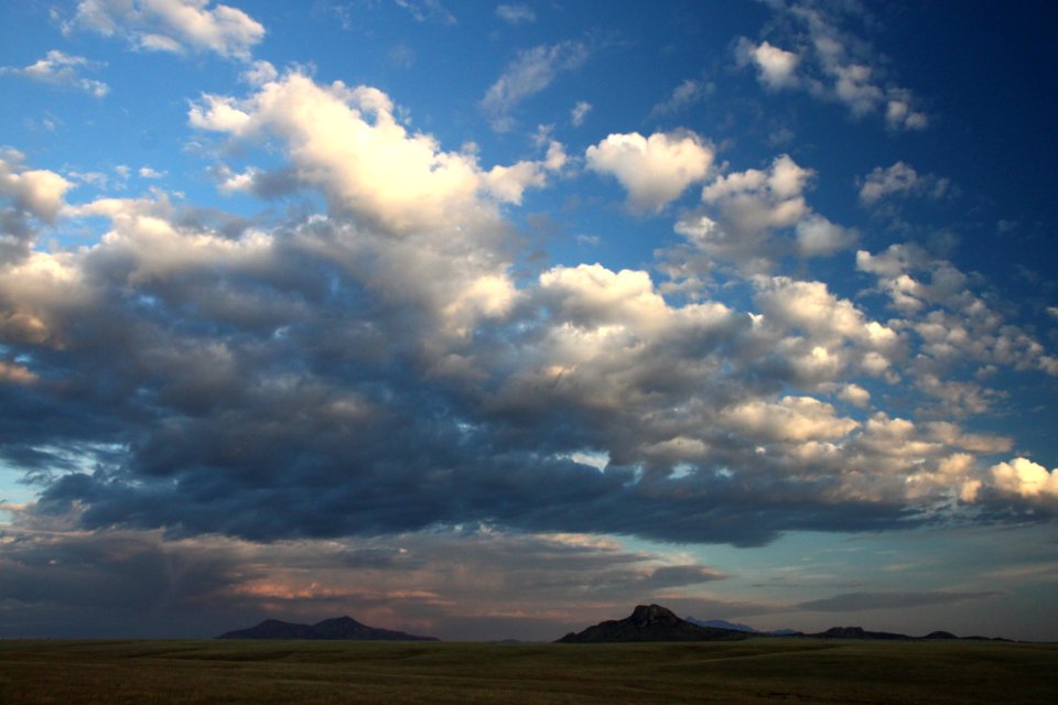 SAN RAFAEL VALLEY GRASSLANDS, SE of Patagonia, scc, az (10-1-11) -04 photo