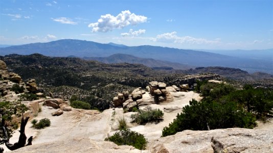 2019 09 02 Mt Lemmon (6)