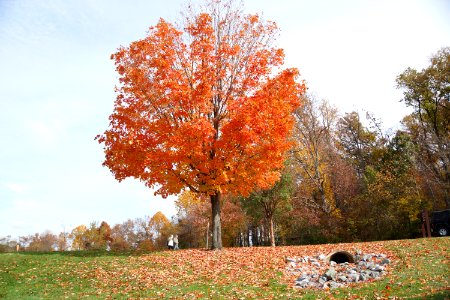 DSC00221