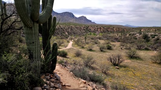 Catalina State Park