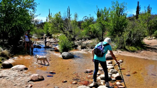 2019.04.07 Catalina State Park